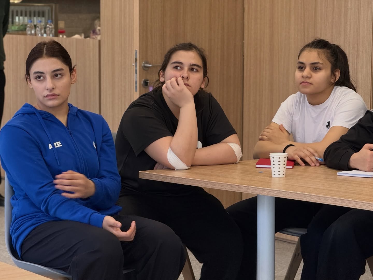 Yeniyetmələrdən ibarət milli komandanın üzvləri üçün şahmat dərsi təşkil olunub