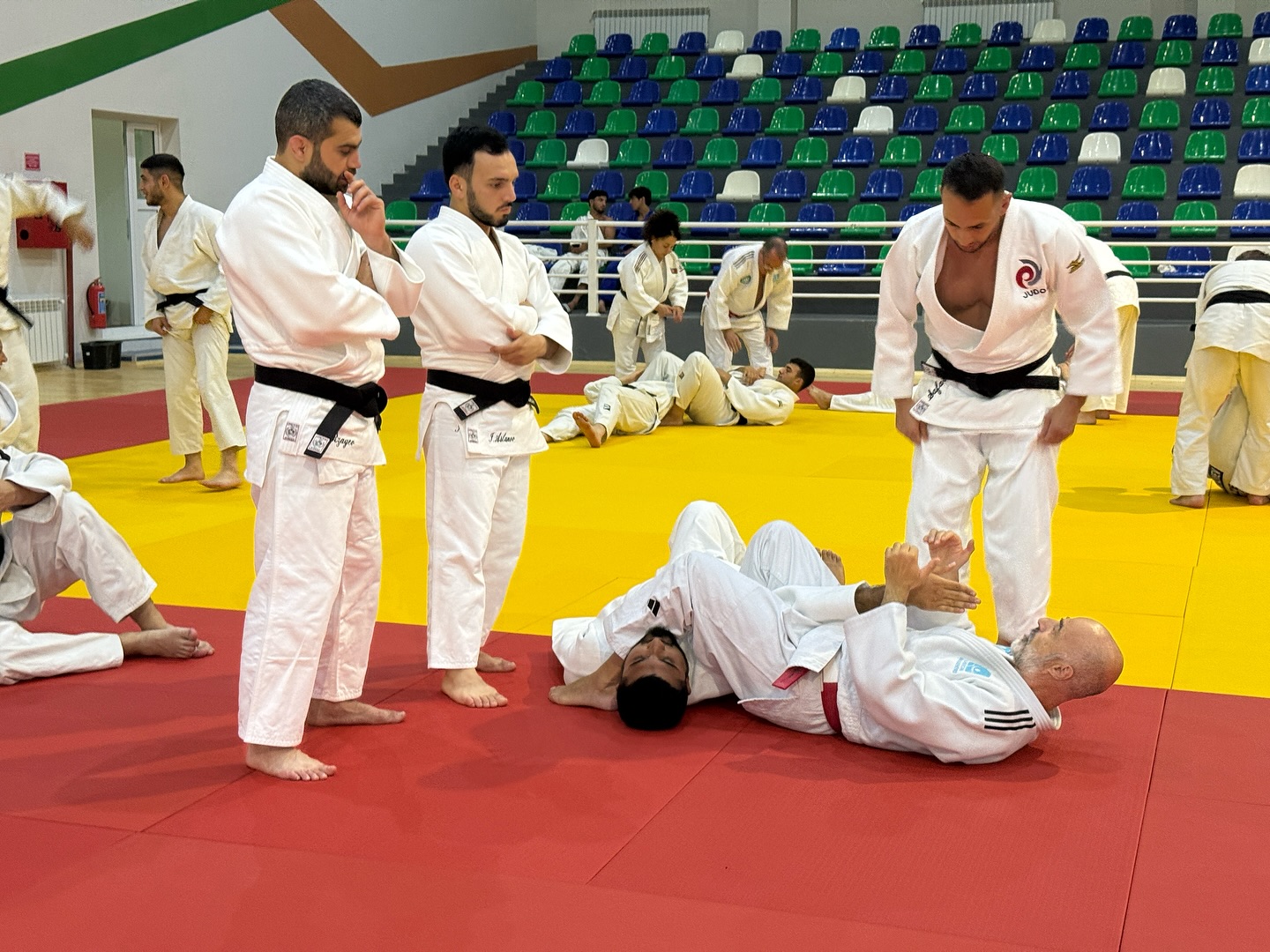 Qubada cüdo məşqçiliyi ixtisası üzrə təhsil alan tələbələr üçün xüsusi proqram start götürüb