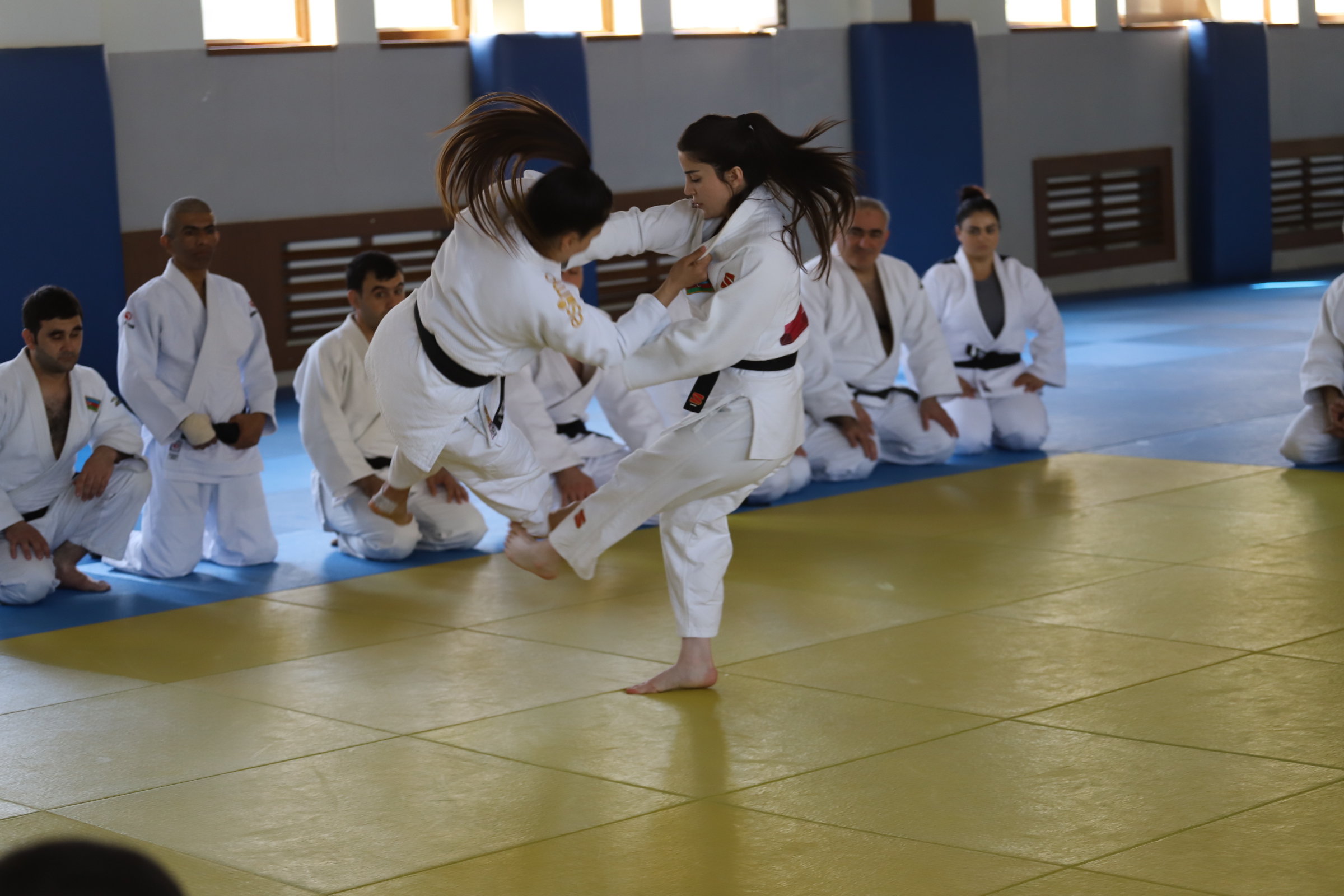 Cüdo məşqçilərinin Beynəlxalq Cüdo Federasiyasının (BCF) akademiyasında təhsili davam edir