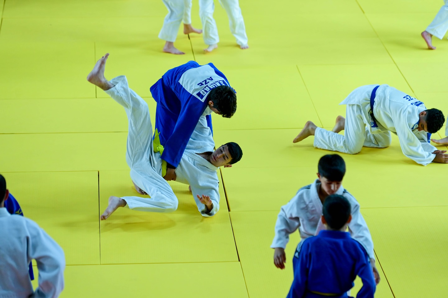 New Judo Hall Opens at Yevlakh Olympic Sports Complex