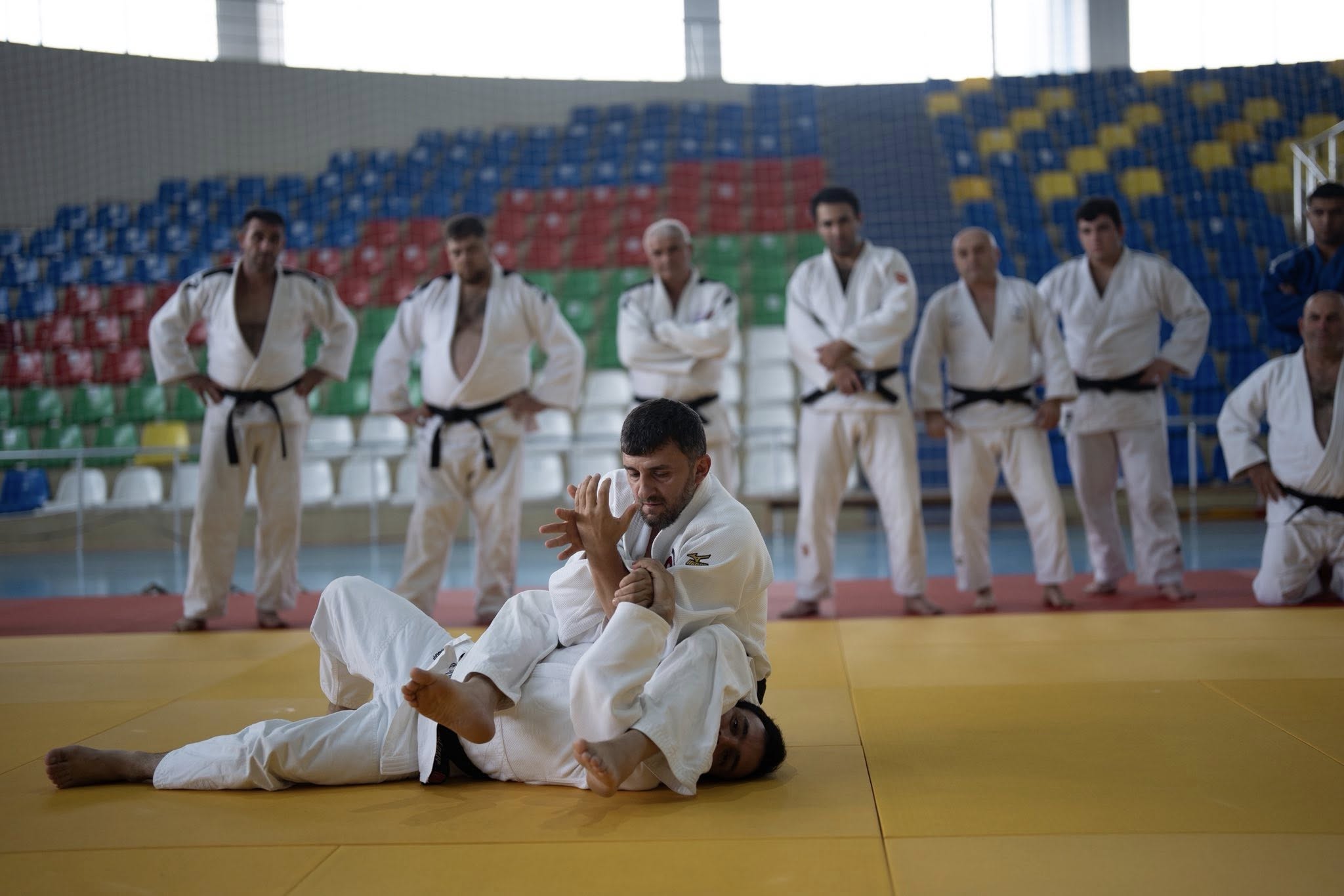 Peşəkar inkişaf proqramı çərçivəsində seminarlar davam edir