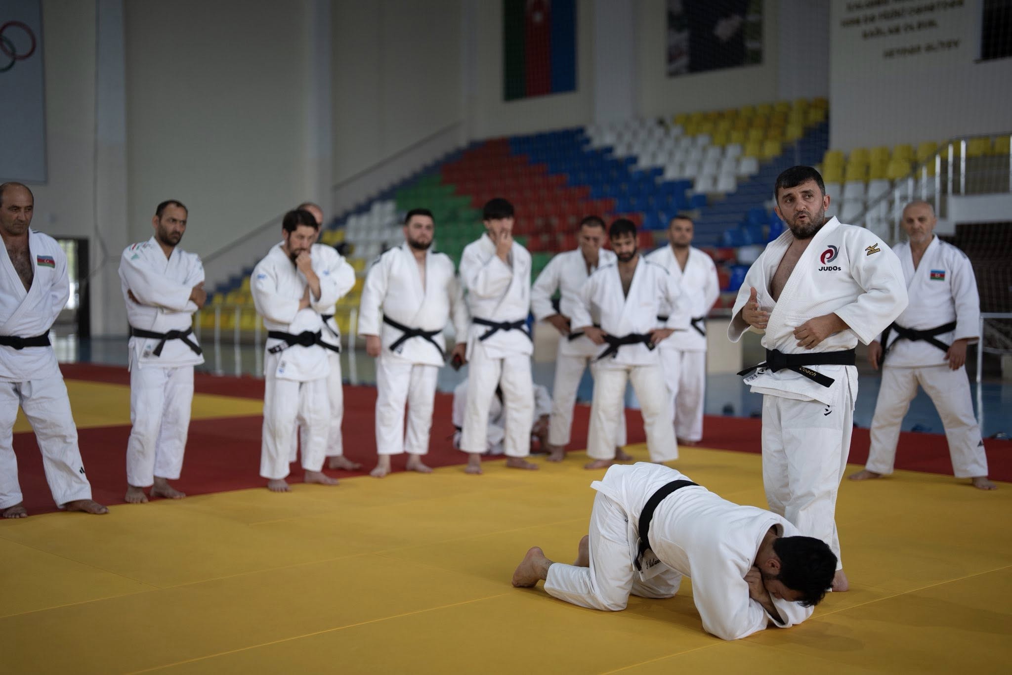 Peşəkar inkişaf proqramı çərçivəsində seminarlar davam edir