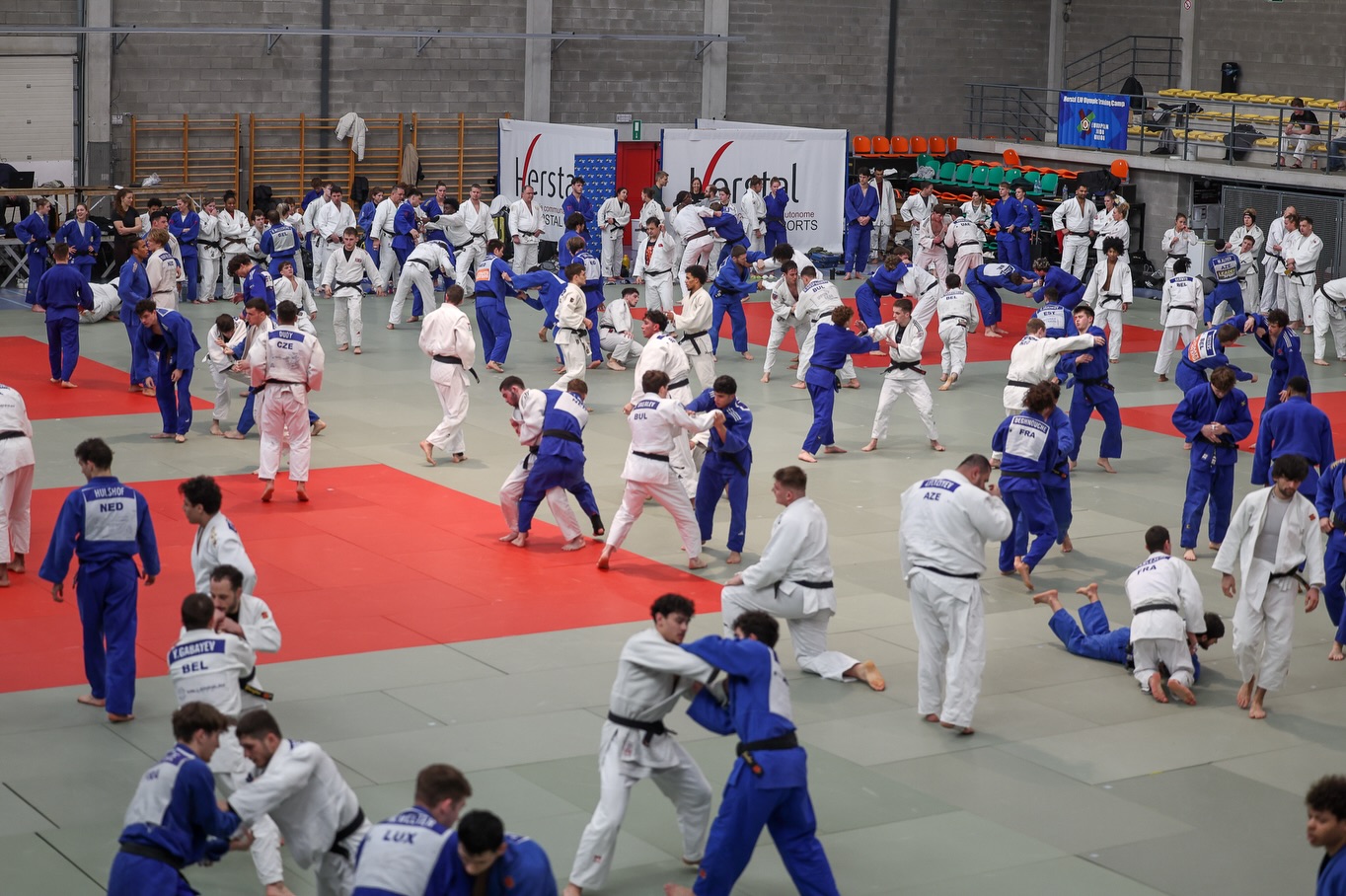 Cüdoçularımız Belçikada Olimpiya Təlim Düşərgəsinə qatılıb