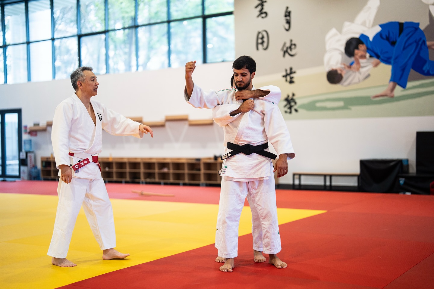 Kodokan ustadlarının kime-no-kata seminarı davam edir