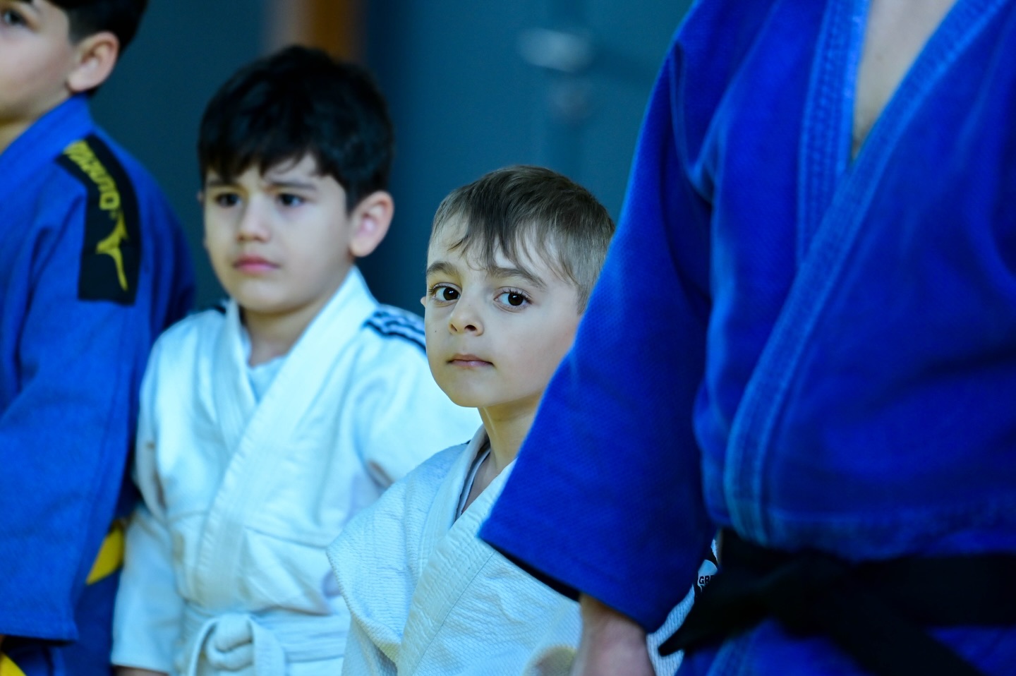 New Judo Hall Opens at Yevlakh Olympic Sports Complex
