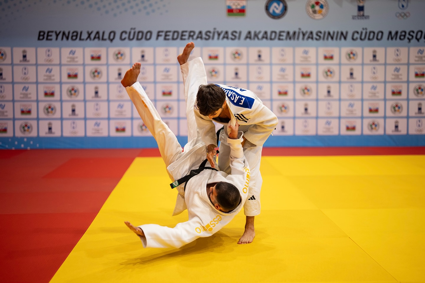 “Nage-no-kata” seminarları davam edir