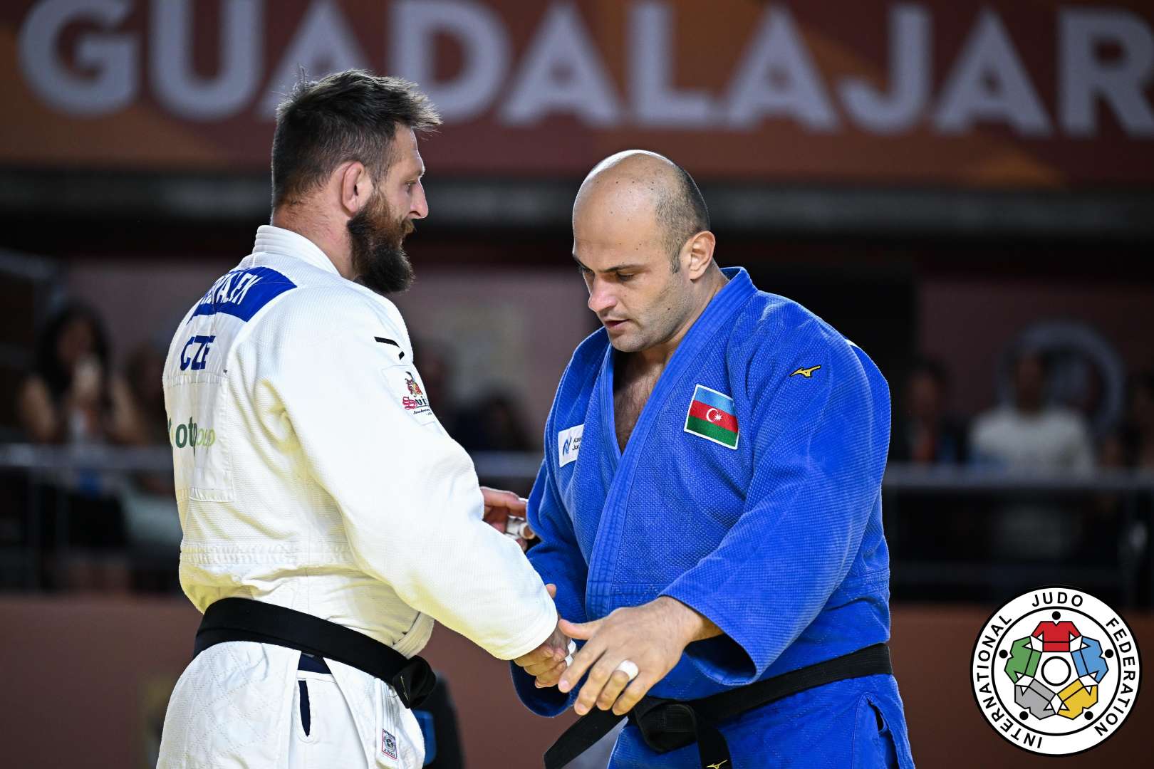 Milli komandamızdan parlaq çıxış - 6 qızıl və 3 bürünc medal