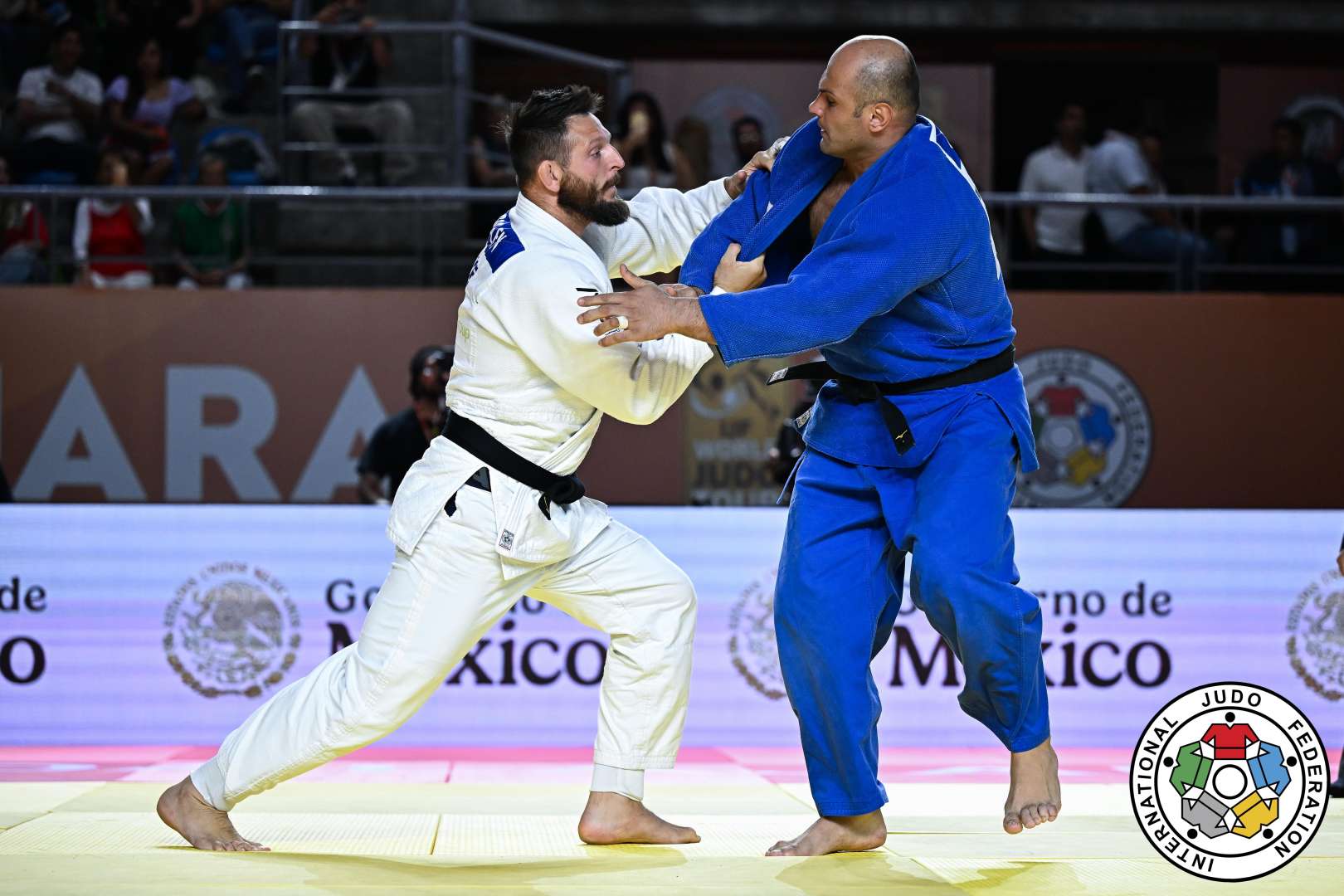 Milli komandamızdan parlaq çıxış - 6 qızıl və 3 bürünc medal