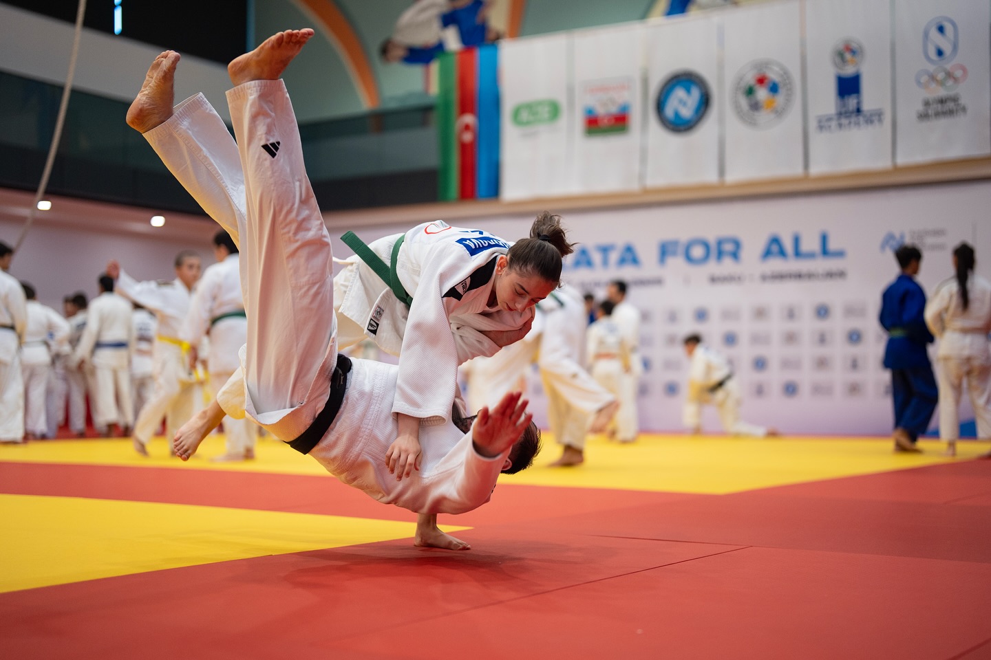 “Kata for All” festivalı uğurla başa çatıb