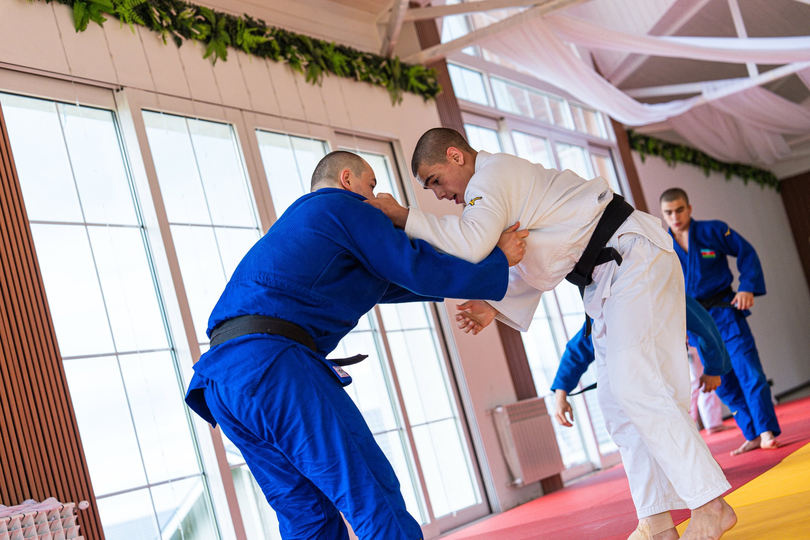 Cadet National Team Training Camp Underway in Shamakhi