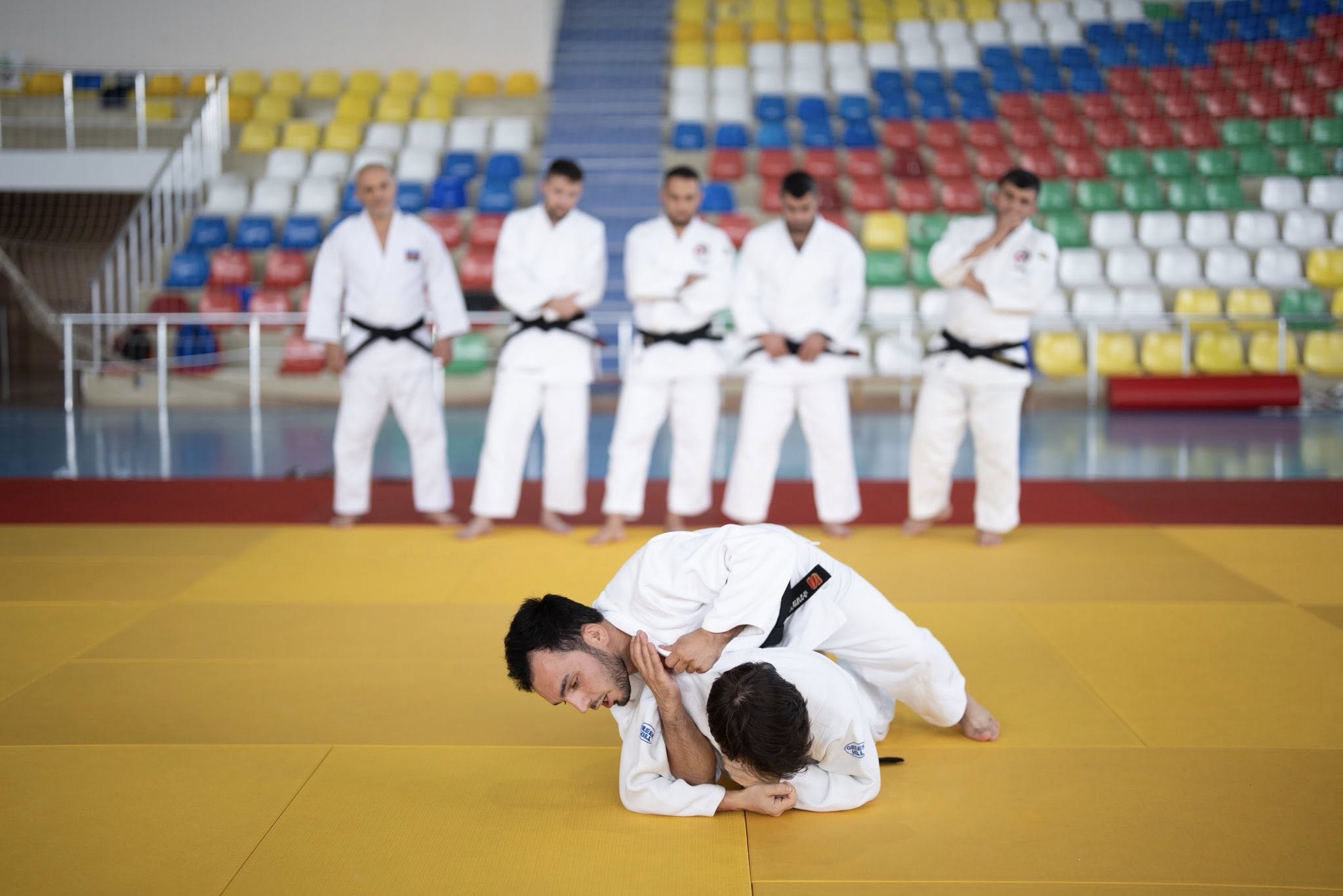 Peşəkar inkişaf proqramı çərçivəsində seminarlar davam edir