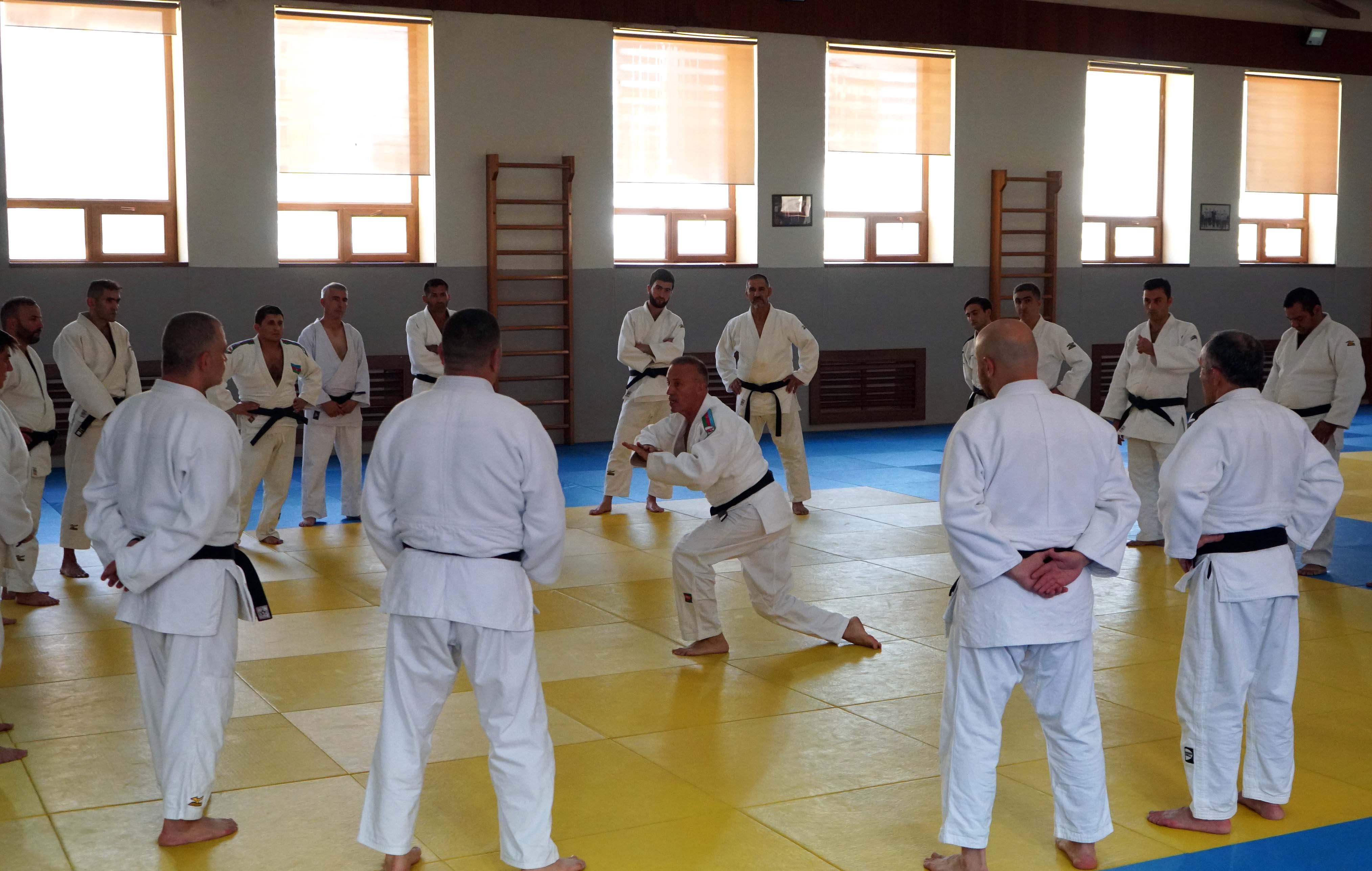 Hakimlərin peşəkarlıq səviyyəsini artırmaq üçün seminar təşkil edilib