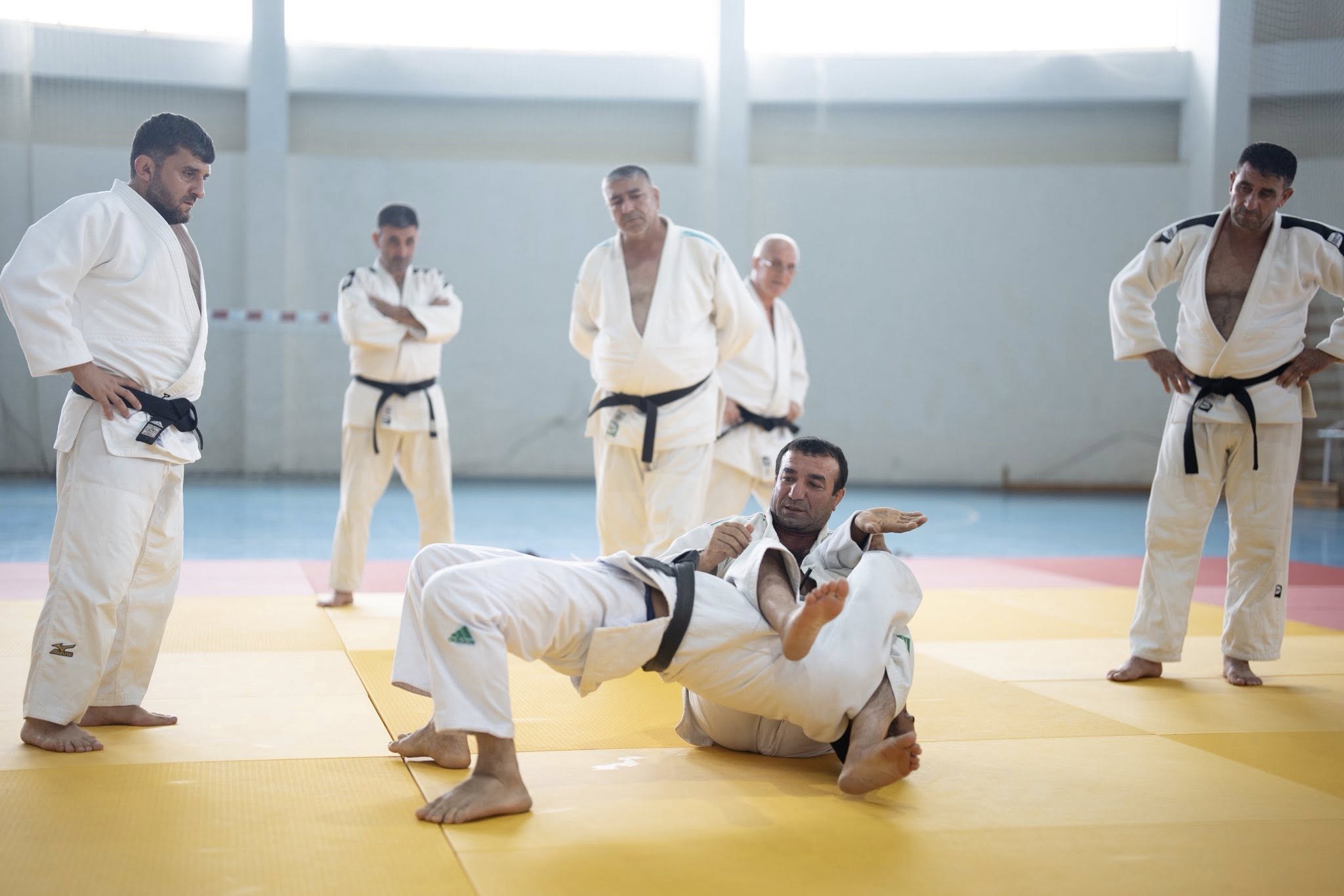 Peşəkar inkişaf proqramı çərçivəsində seminarlar davam edir