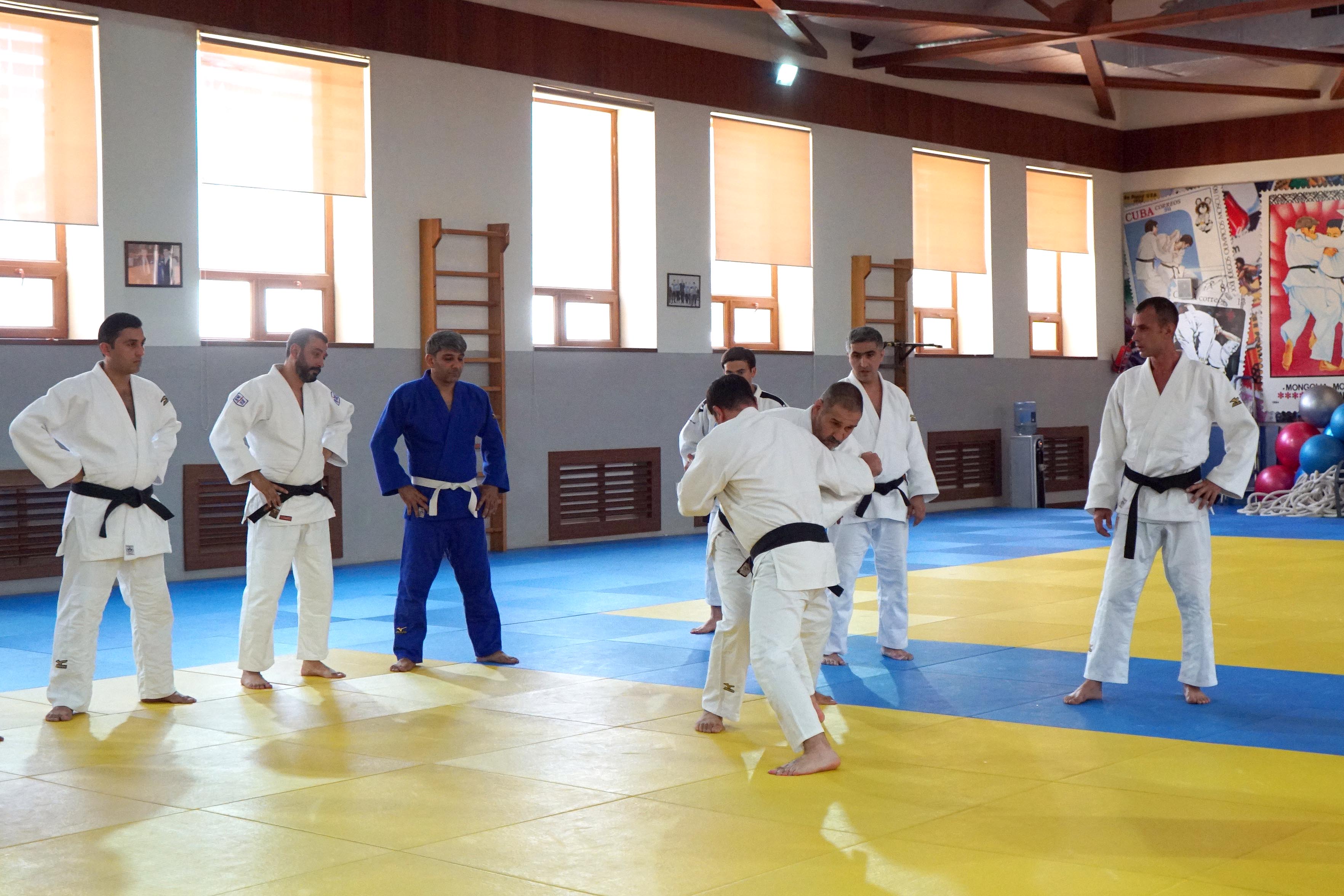 Hakimlərin peşəkarlıq səviyyəsini artırmaq üçün seminar təşkil edilib