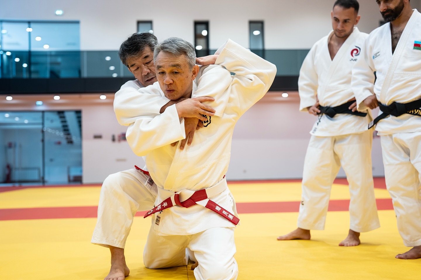 Bakıda Kodokan mütəxəssislərinin iştirakı ilə kime-no-kata seminarı keçirilib