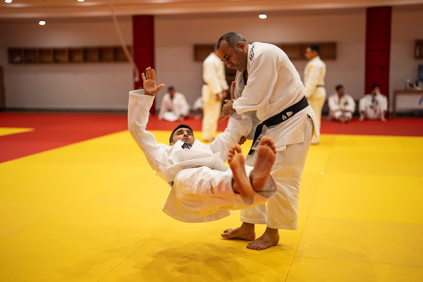 “Nage-no-kata” seminarları davam edir