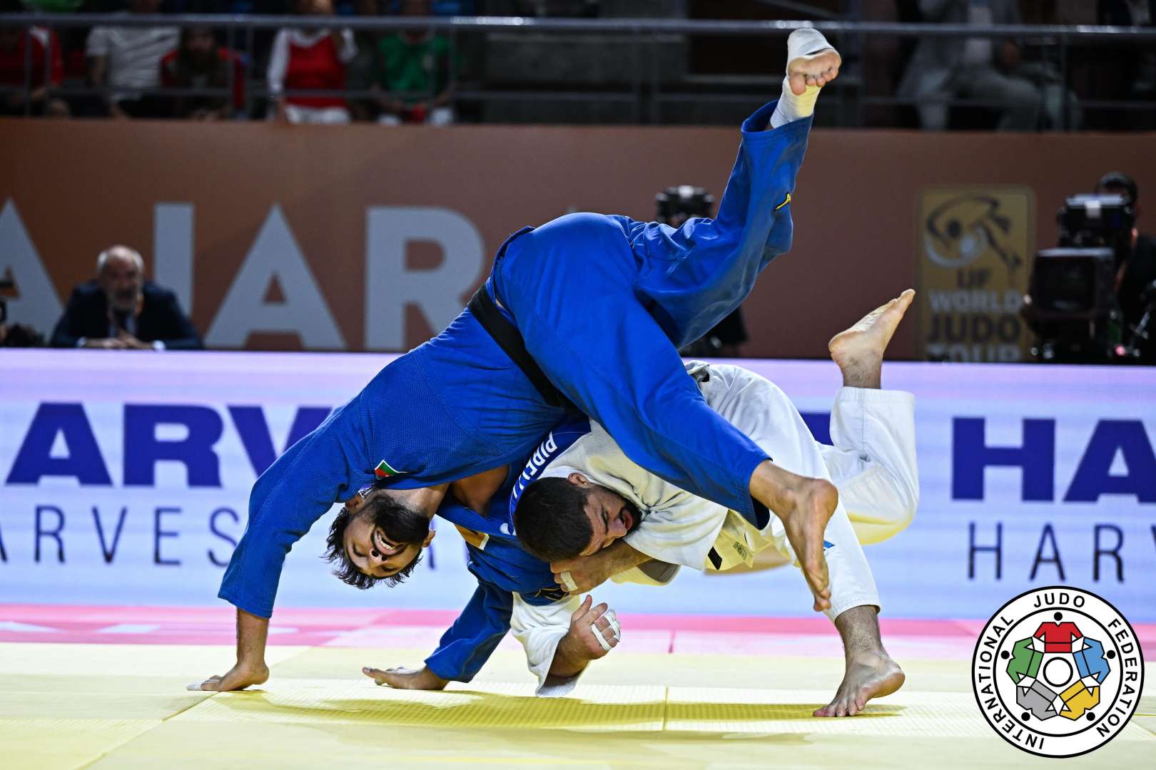 Milli komandamızdan parlaq çıxış - 6 qızıl və 3 bürünc medal