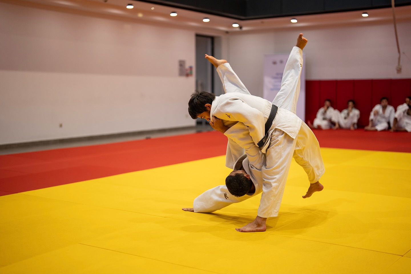 “Nage-no-kata” seminarları davam edir