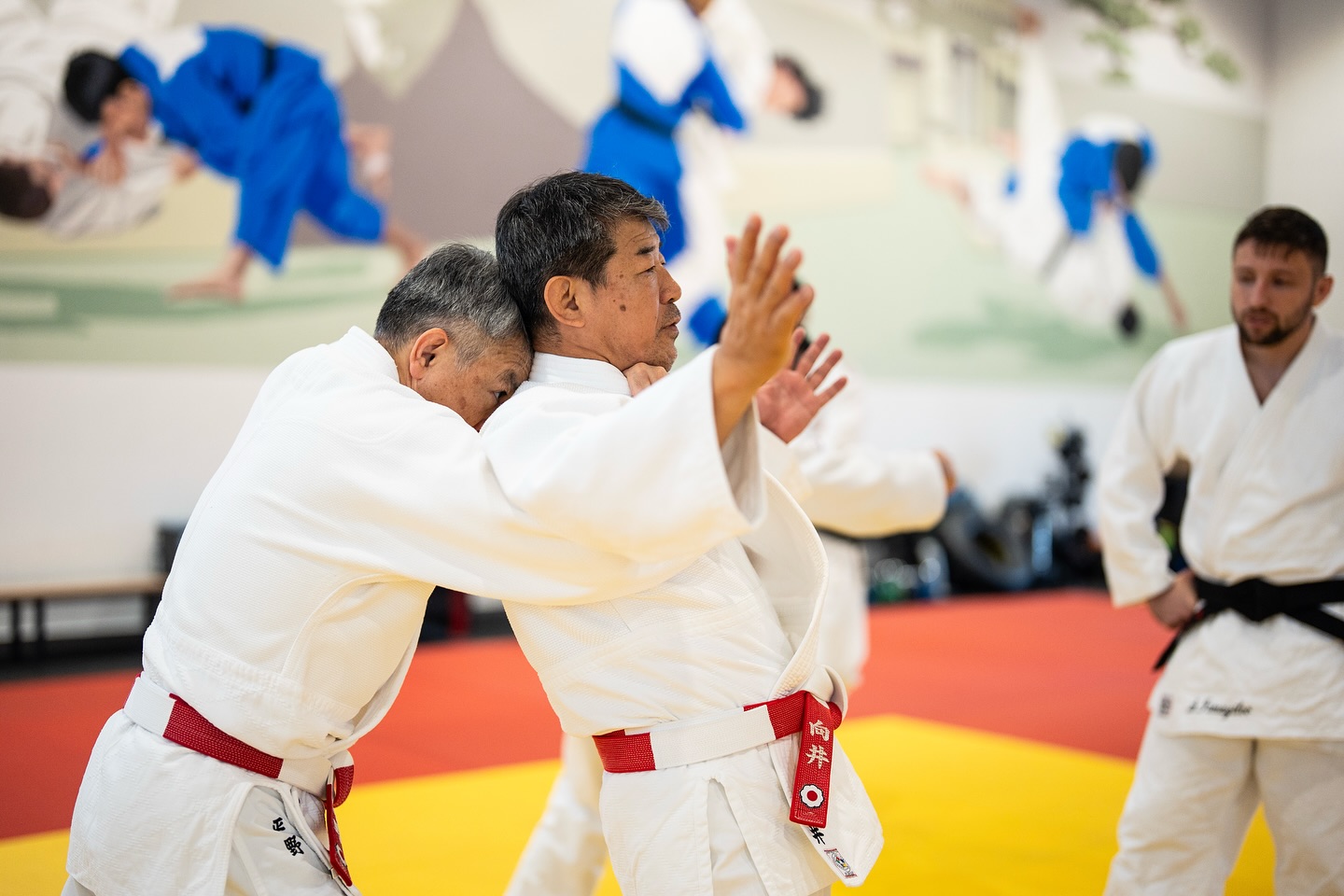 Kodokan ustadlarının kime-no-kata seminarı davam edir
