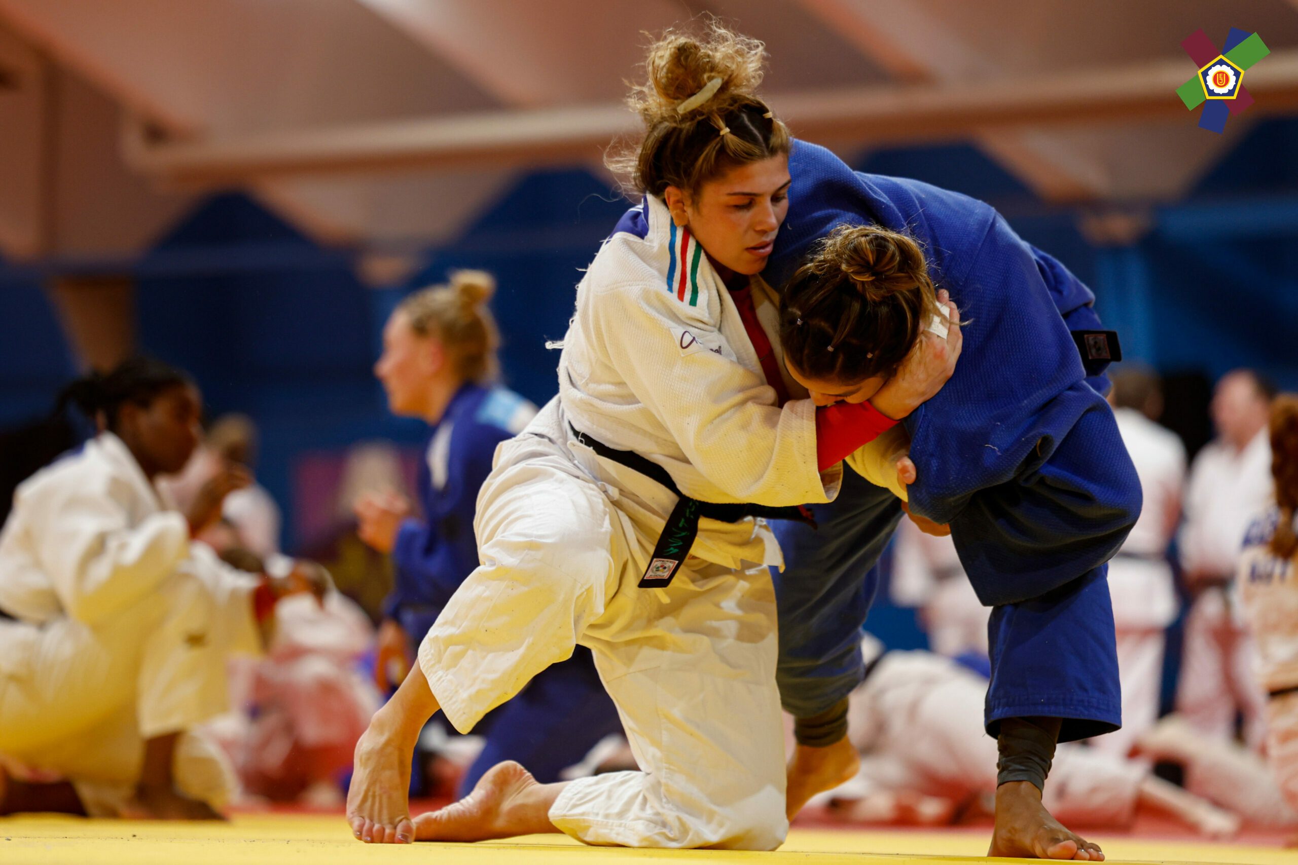Azərbaycanın cüdo üzrə milli komandası Mittersilldə ilin ilk olimpiya təlim-məşq toplanışındadır