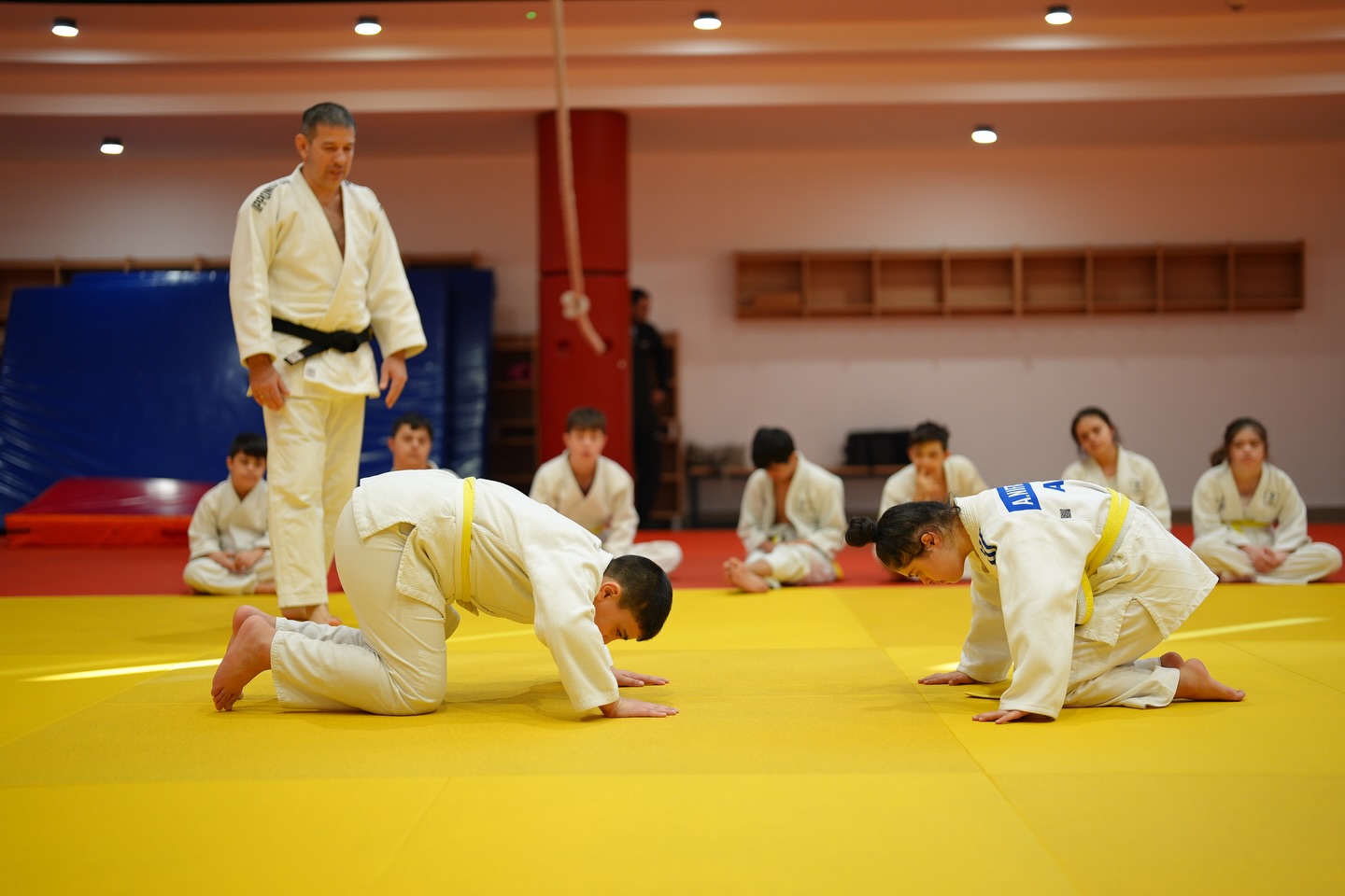 Adaptiv cüdo dərsləri davam edir
