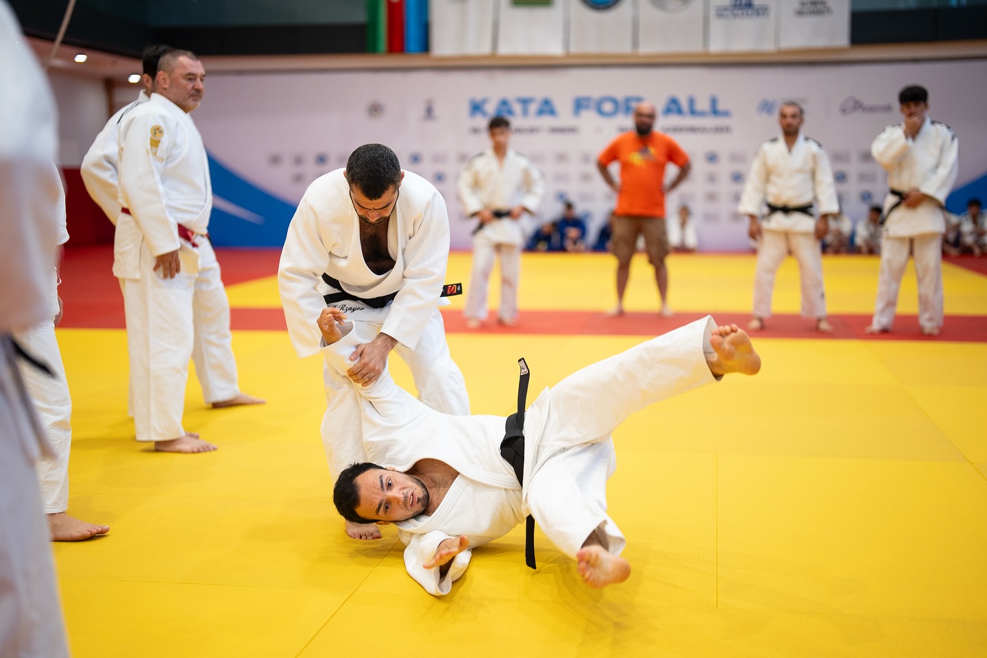 “Kata for All” festivalı uğurla başa çatıb