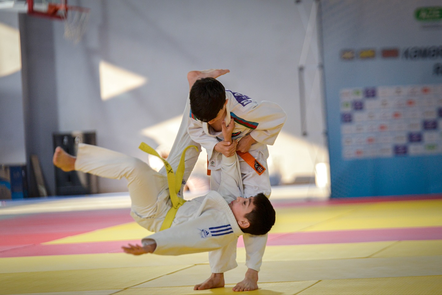 Goranboyda 373 cüdoçu kəmər dərəcələri üzrə imtahan verib