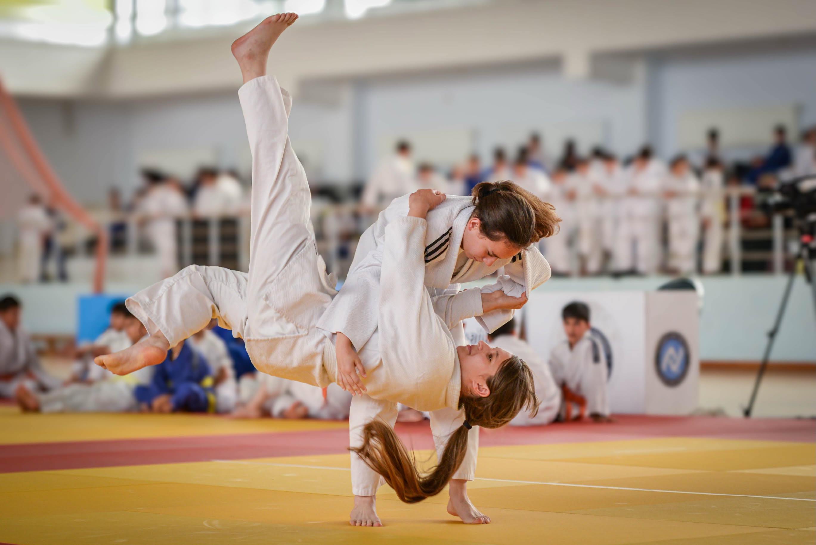 207 Judoka Take Part in Belt Grading Examination in Gakh